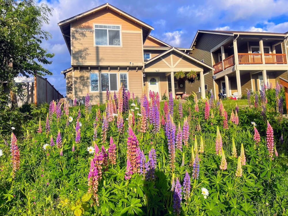 Central Tacoma Homestay -private room-