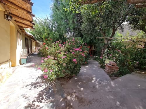 Andino Hostel