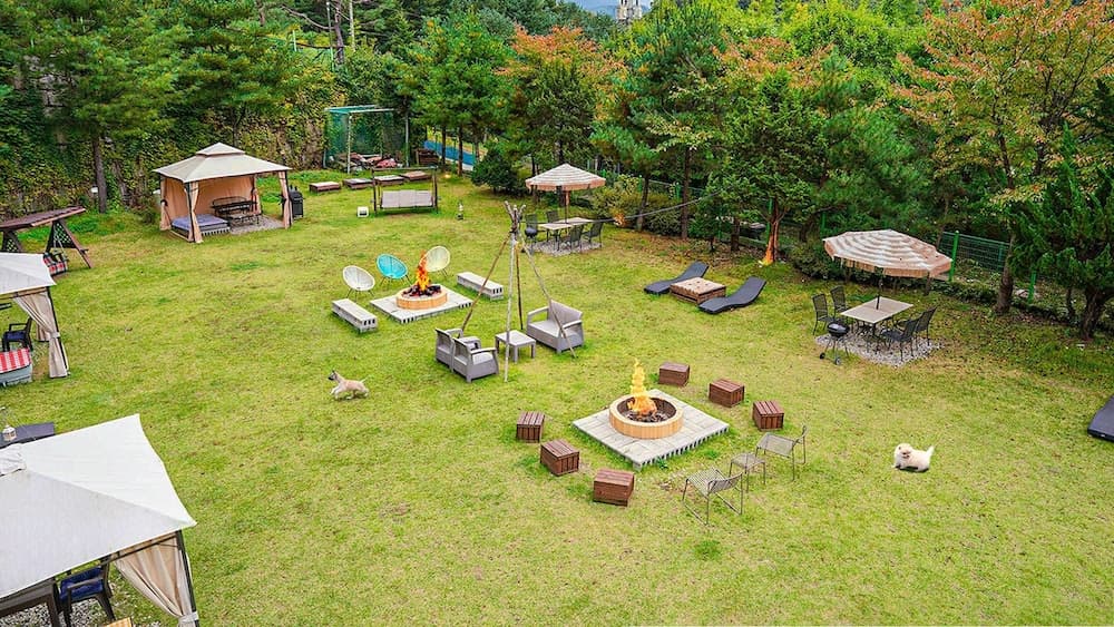 Gapyeong Daengdaengi Dog Pension Silver