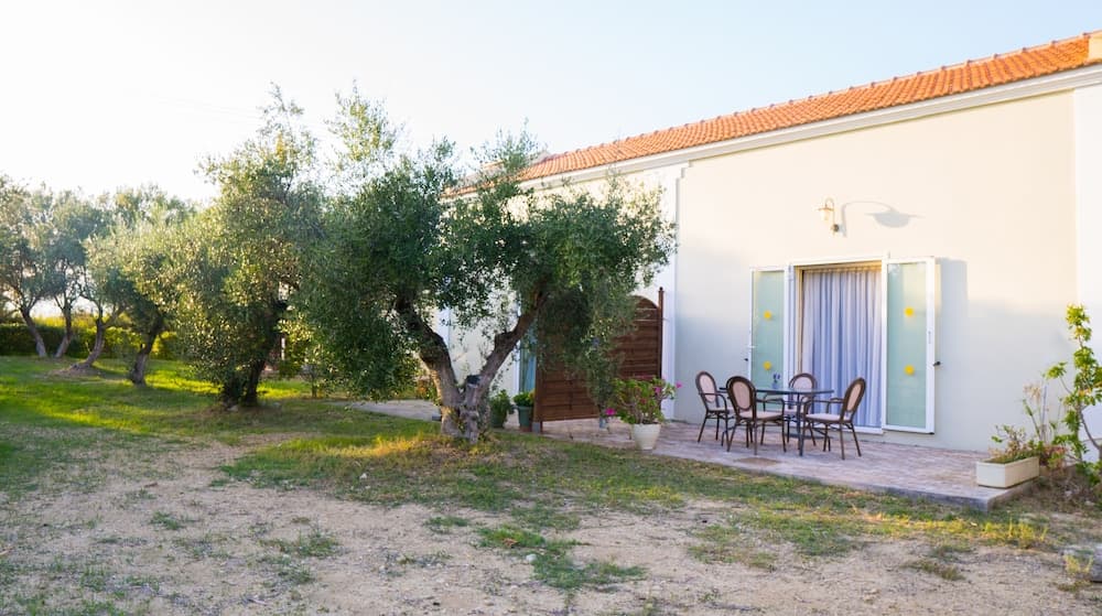 Olive Trees Garden Lixouri