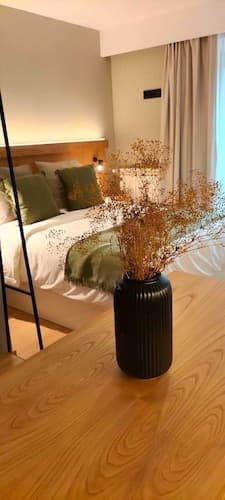 Zalle Oviedo Suites