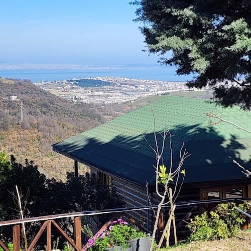 Nefes House
