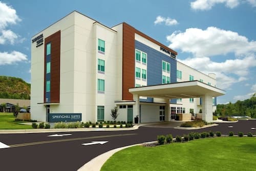 Springhill Suites By Marriott Ellijay