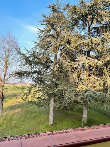 B&B Villa Erika