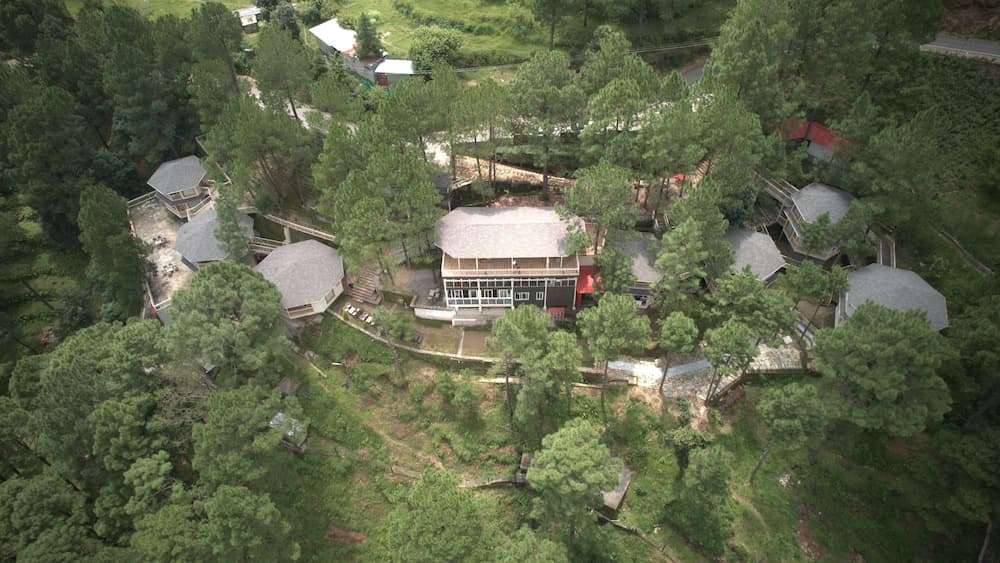 The Woods Retreat