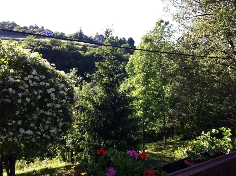 Dalija - Beautiful Nature and View - SA2