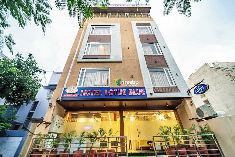 Treebo Lotus Blue