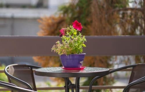 Anesis Suites
