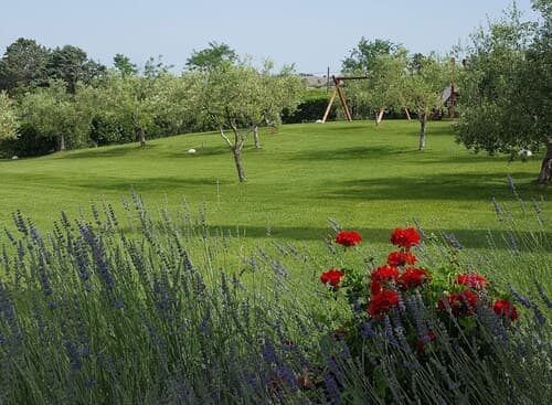 Agriturismo Il Migliarino