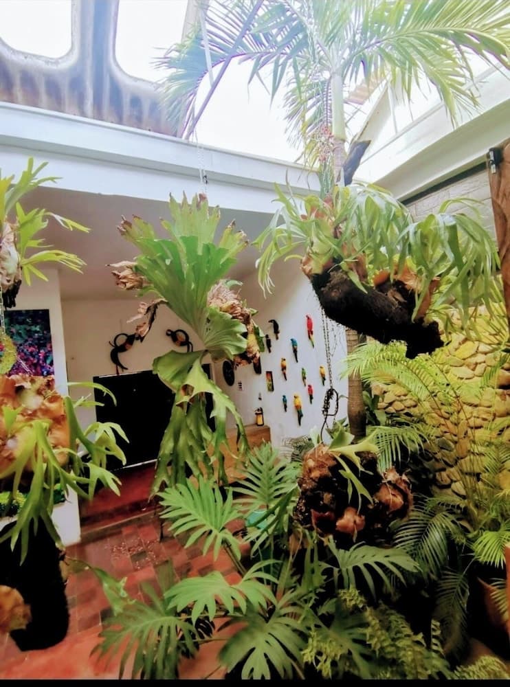 parrot house san antonio