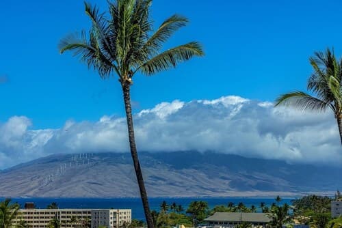 Kihei Akahi D-510 1 Bedroom Condo