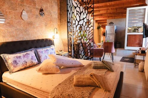 Attic Suite in Alykes