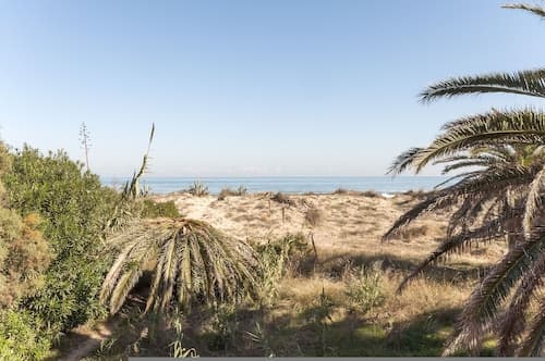 Cotton in Oliva With 3 Bedrooms and 1 Bathrooms