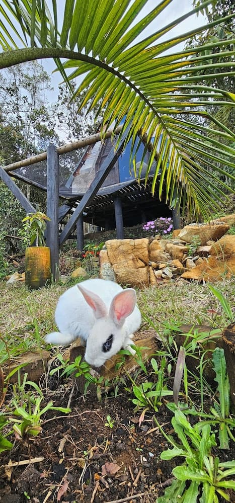 Glamping Volver a la Tierra