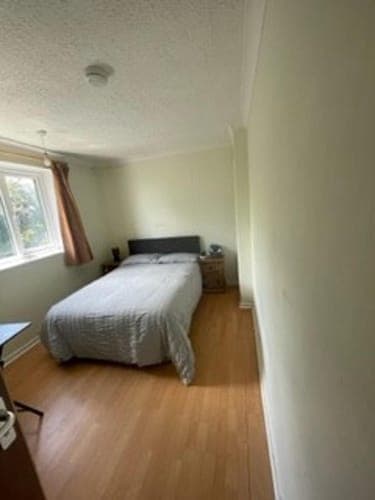 Luxurious 5-bed House in Norwich