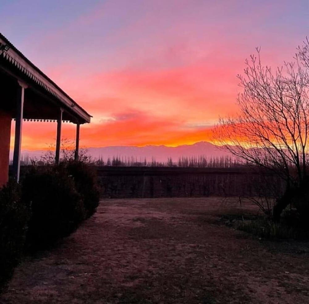 Enlace Wine House
