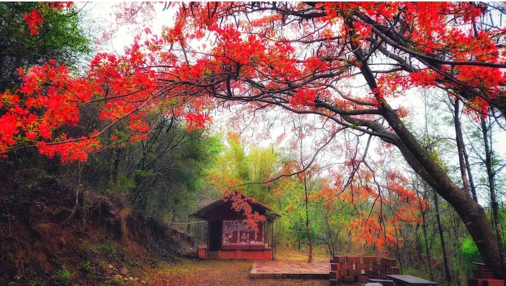 Devigiri Home Stay and Resort