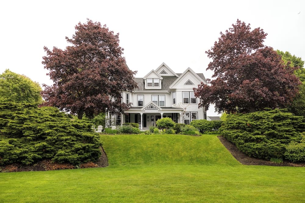 The Rockport House