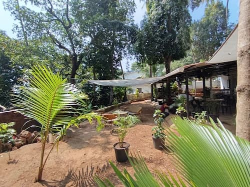Jangala Resort