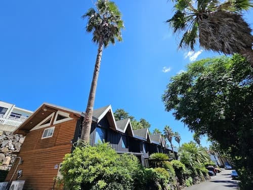Tree Story Pension