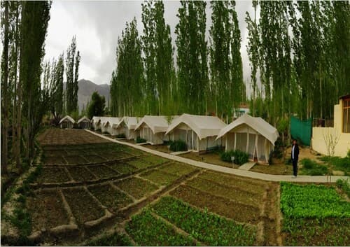 TIH Mystique Meadows Camp