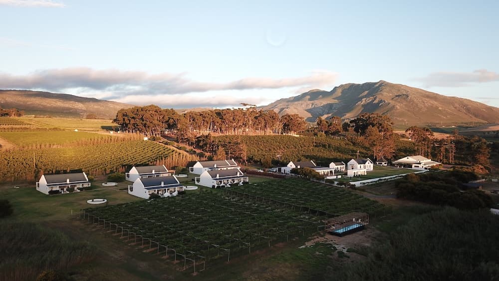 Endless Vineyards at Wildekrans Wine Estate