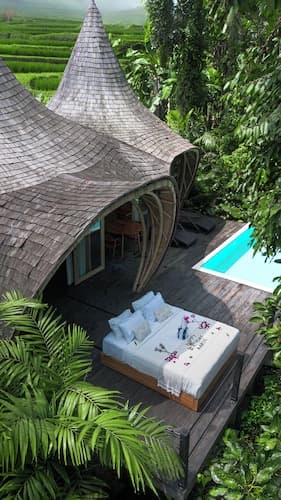 Jungleight Bali