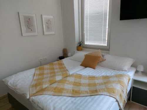 Dandylion Studio Apartment