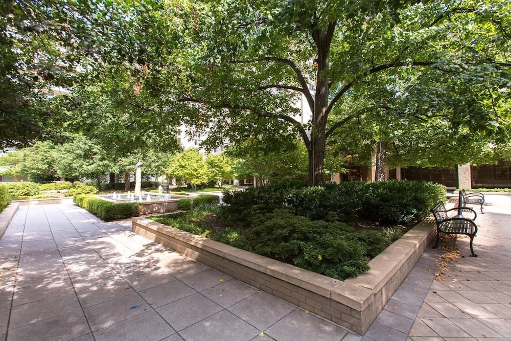 Crystal City Comfortable Apartments