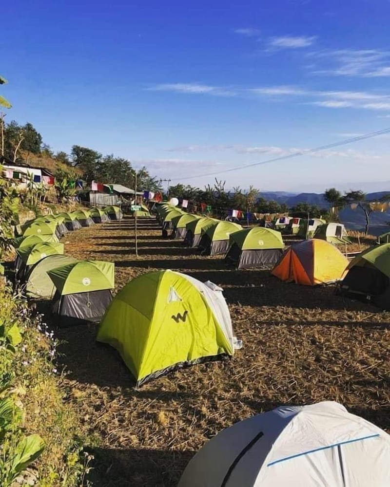 Camp Hornbill By GRB
