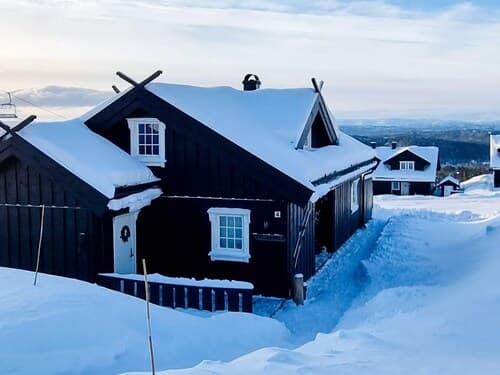 9 Person Holiday Home in Rauland