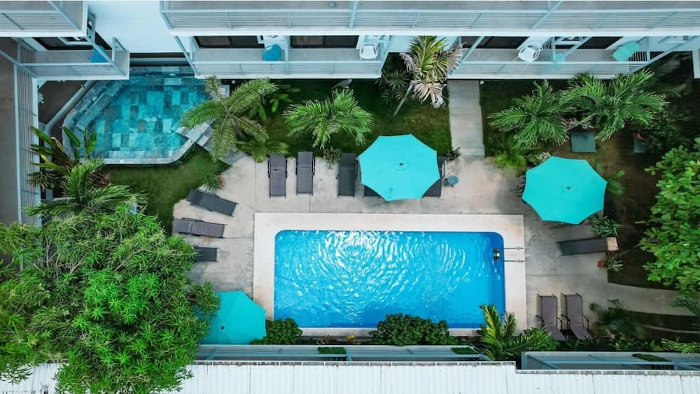 Wide Mouth Frog Hotel