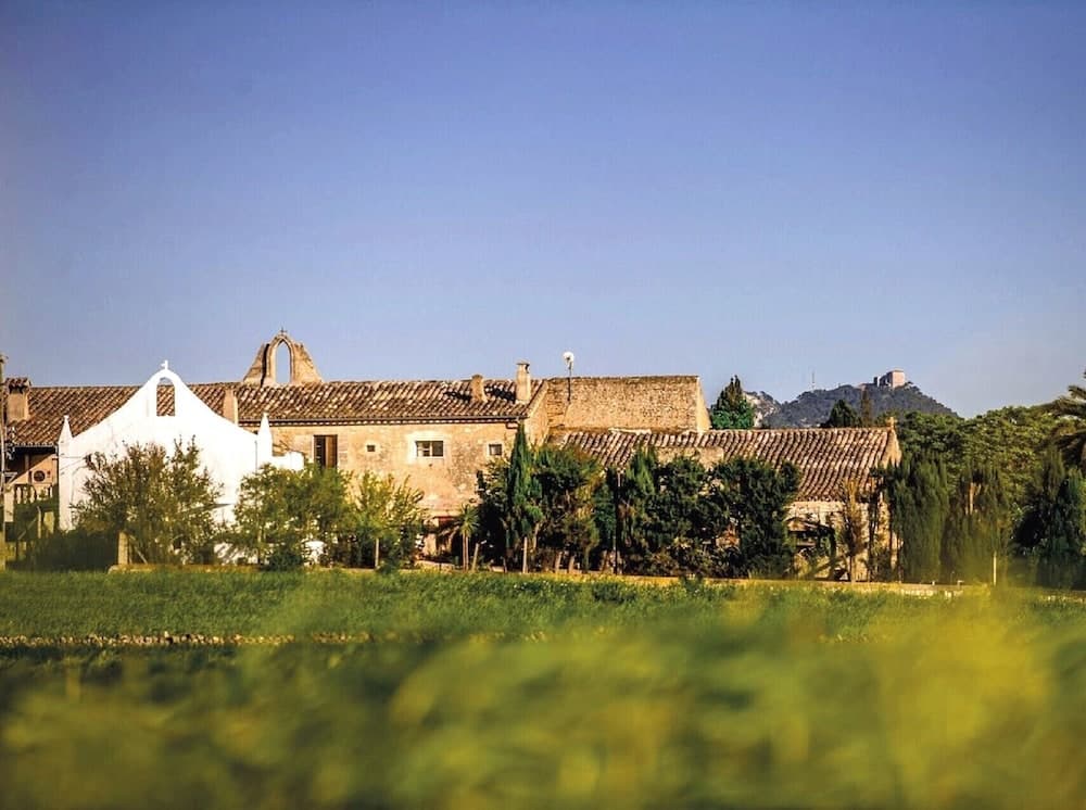 Finca Son Valls
