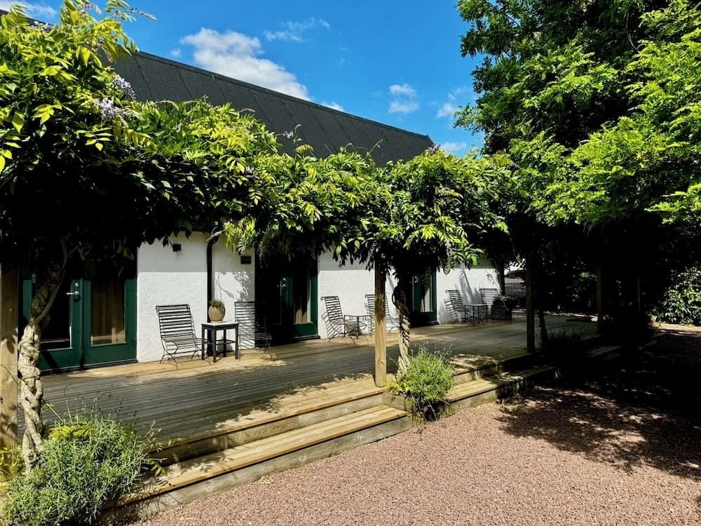 Wisteria Österlen