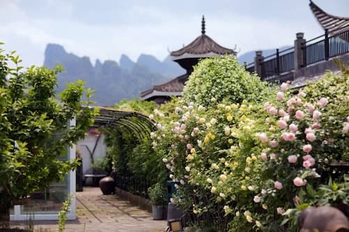 Wang Yun Residence Boutique Homestay
