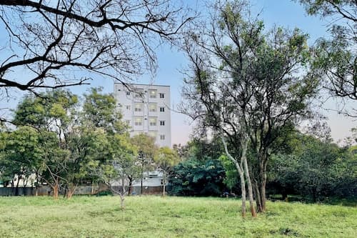 Truelife Whitefield