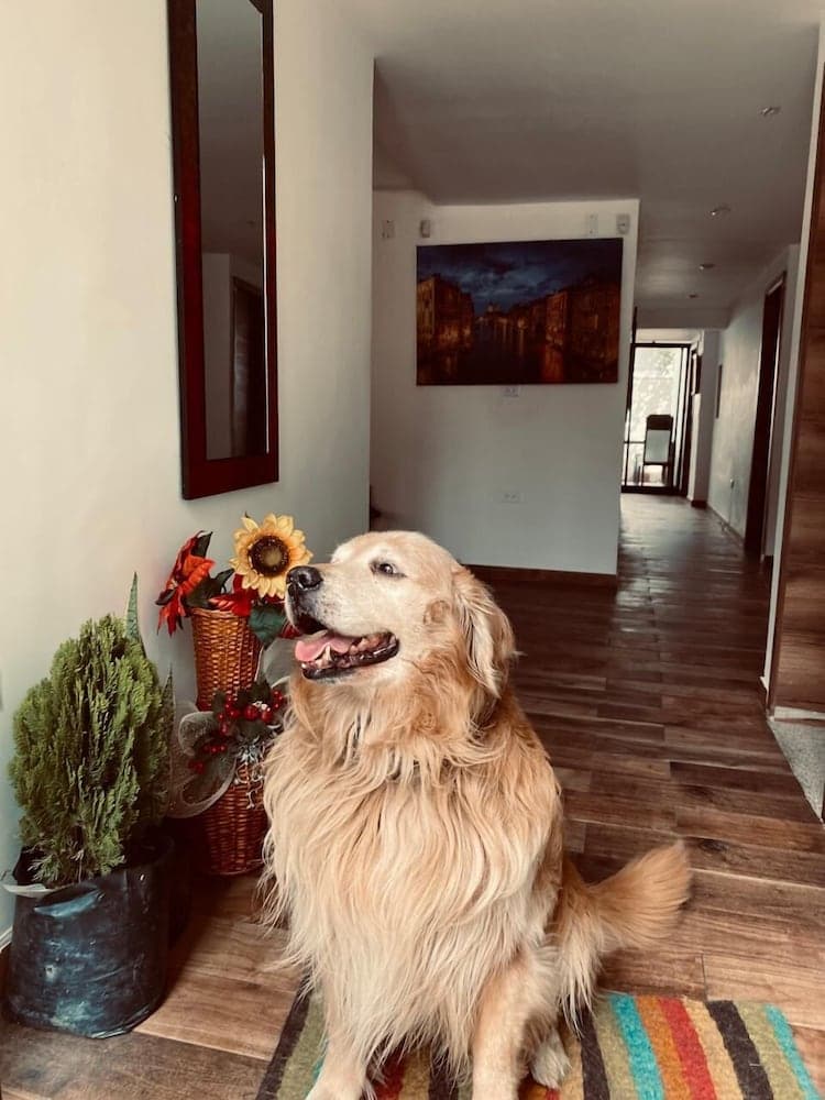 SWEET COLOMBIAN HOME