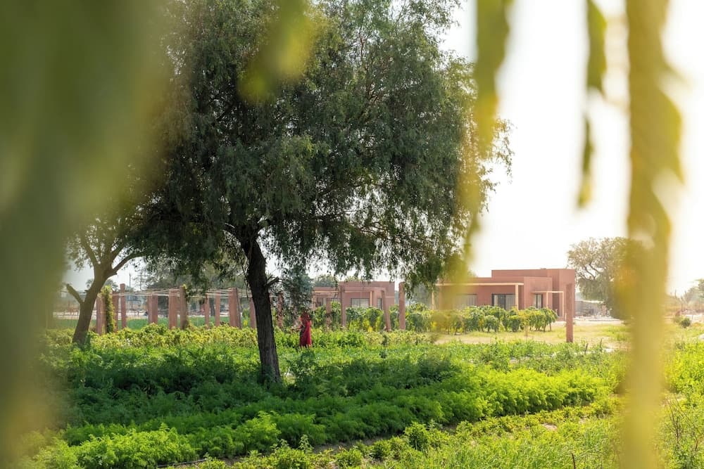 Mharo Khet