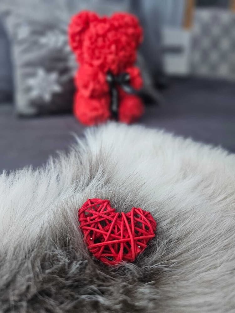 SKOG - Aurora igloos