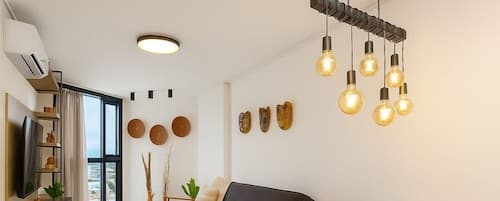 Studio Design 3 - Lions
