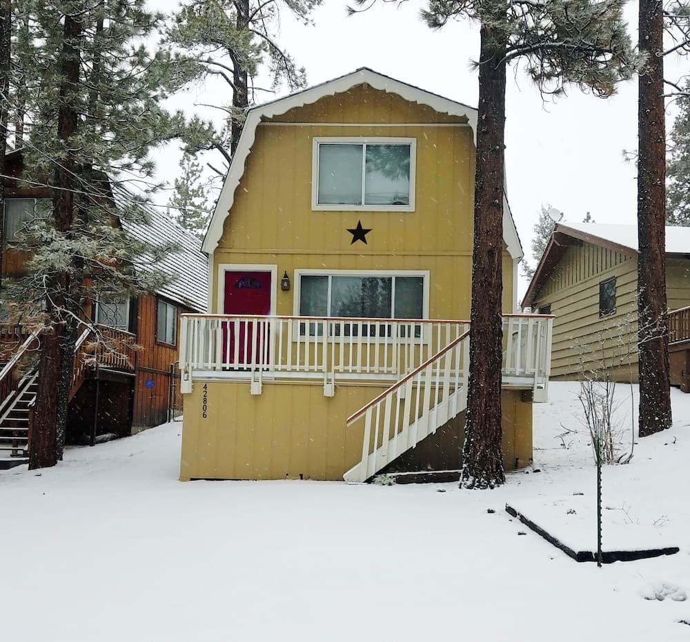 Cabin in the Pines