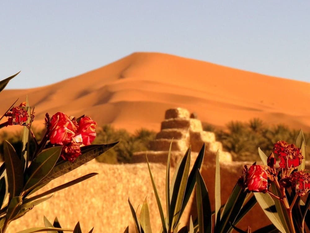 La Vallée des Dunes