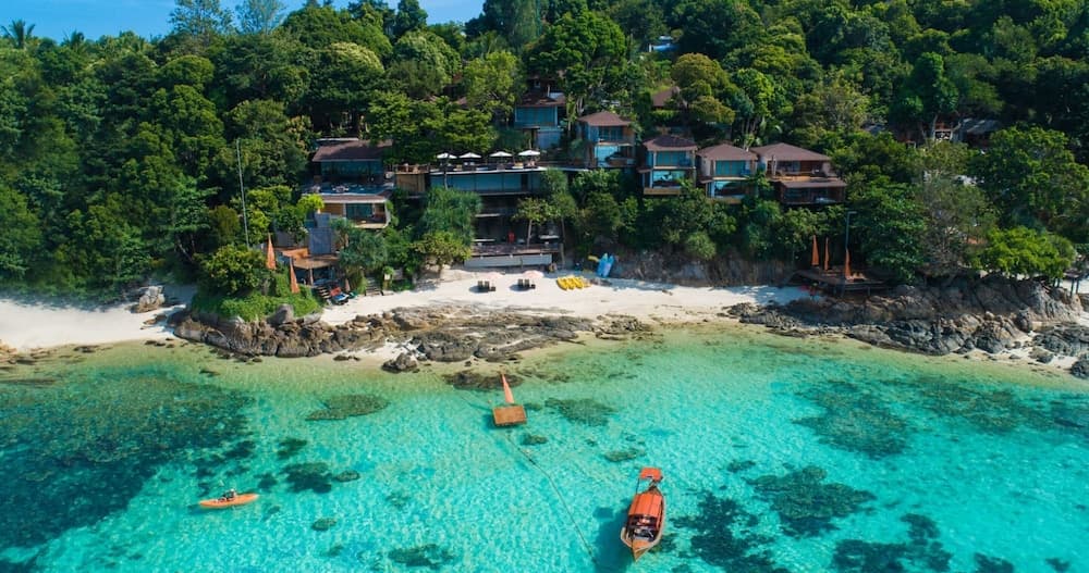 The Cliff Lipe