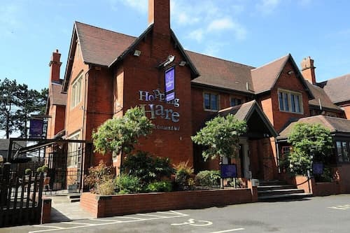 The Hopping Hare