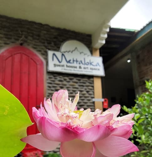 Mettaloka Guest House and Art Space