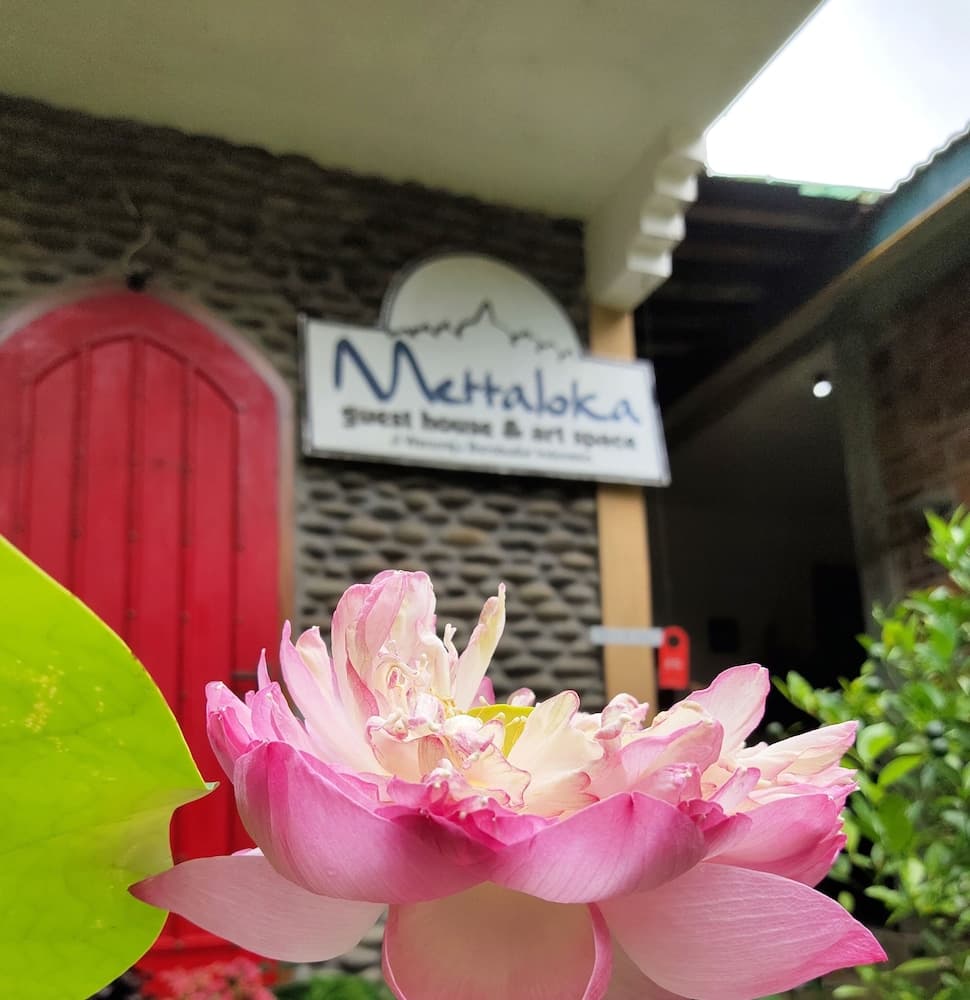 Mettaloka Guest House and Art Space