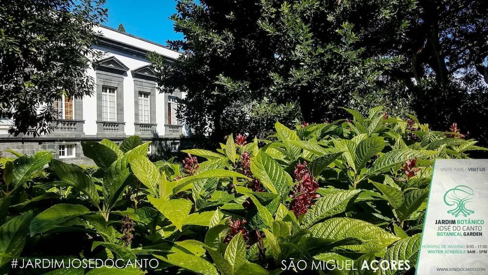 Casa Do Jardim