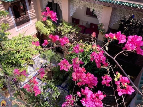 Riad TOYOUR