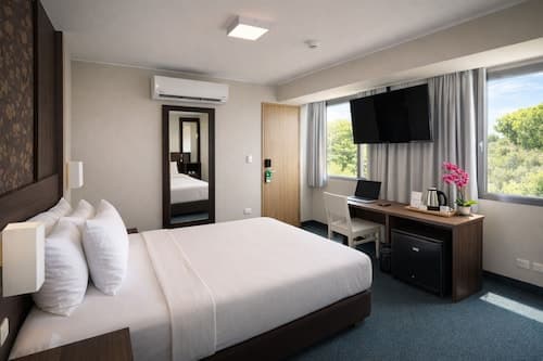Palmetto Hotel Business San Miguel