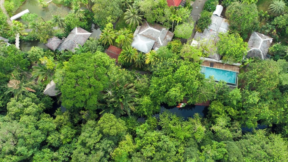 Blu Monkey Pooltara Krabi Hotel and Villas